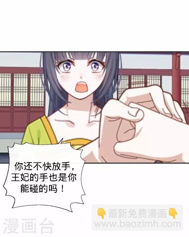 第22话 王妃遇刺