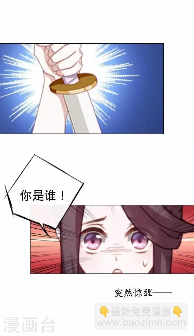 第22话 王妃遇刺