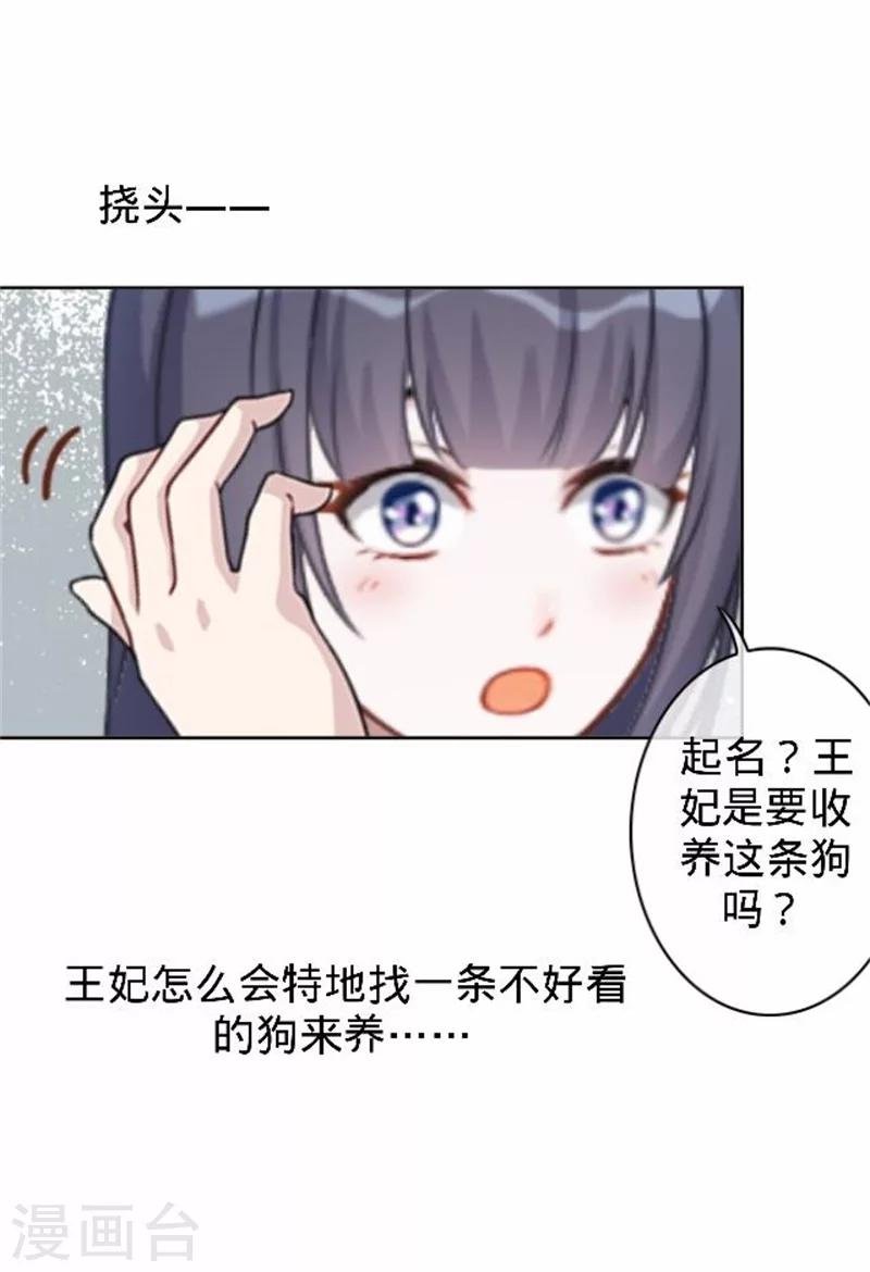 第39话 狗小霜