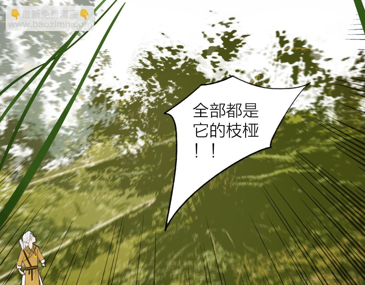 第40话 原地飞升