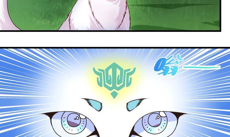 第10话 灵根是啥 能吃嘛？2