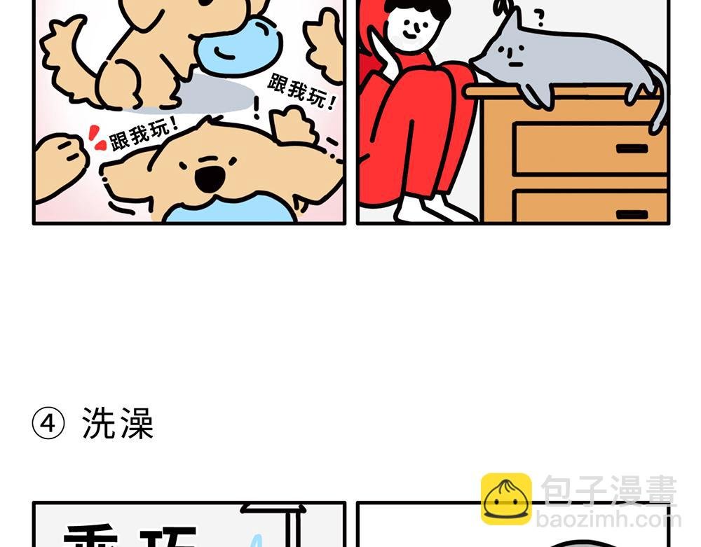 狗狗还是猫咪？选一个吧！