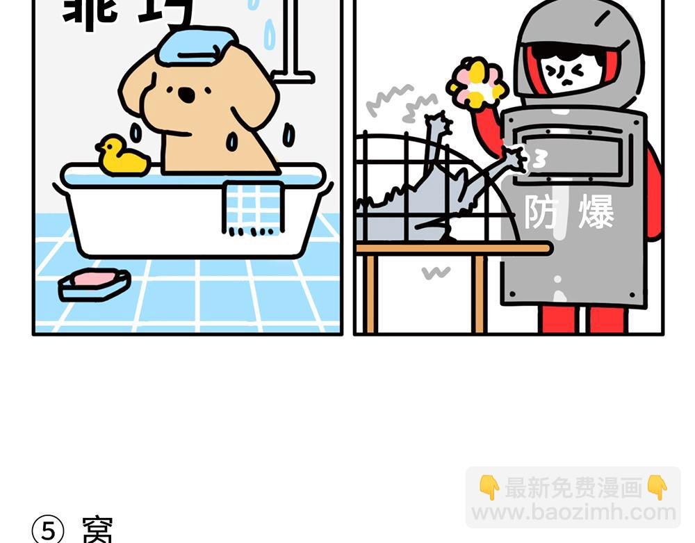 狗狗还是猫咪？选一个吧！