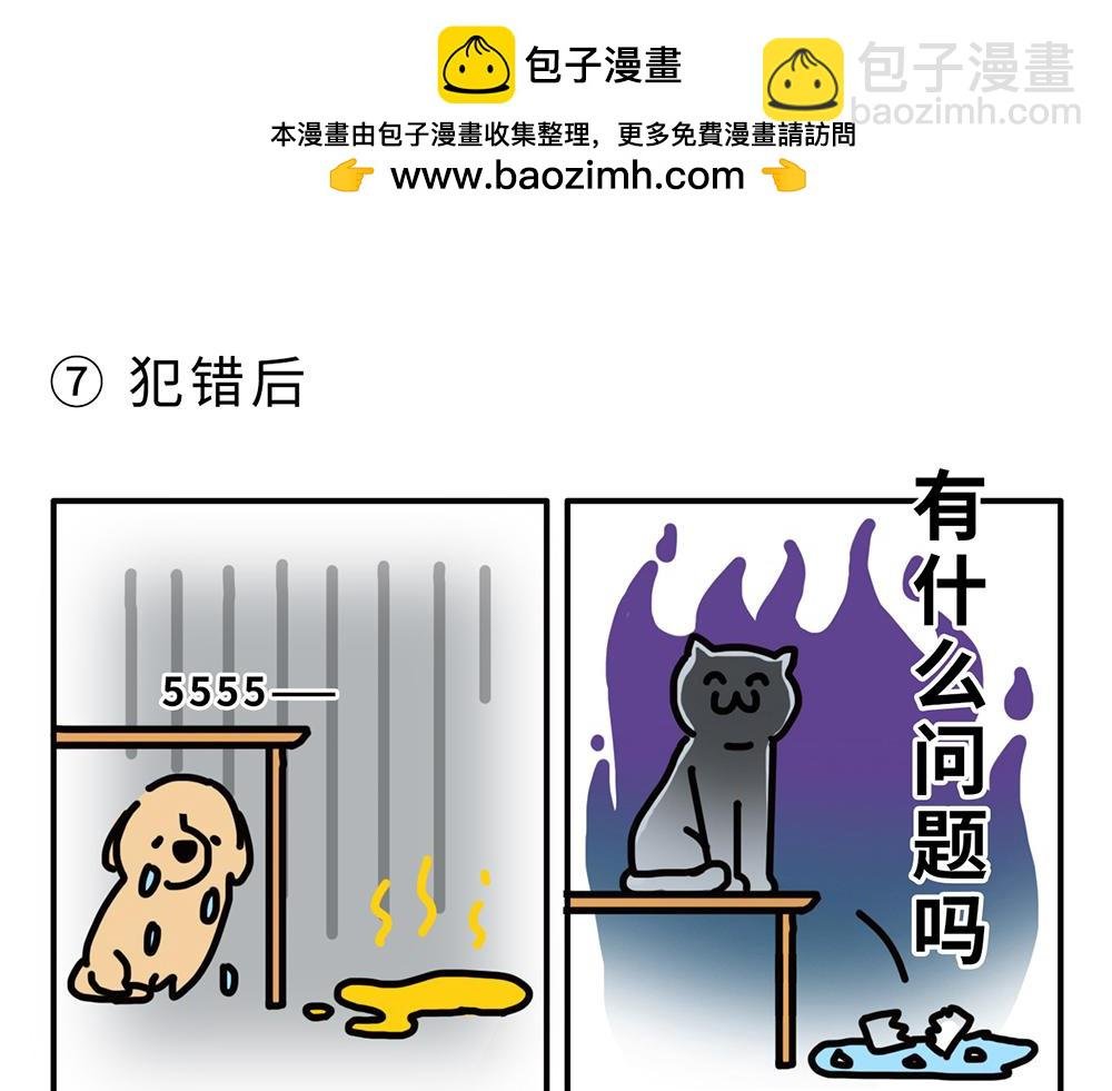 狗狗还是猫咪？选一个吧！