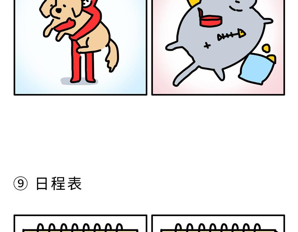 狗狗还是猫咪？选一个吧！