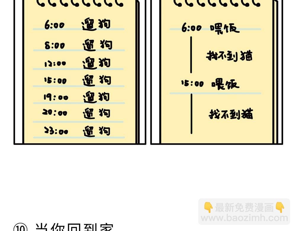 狗狗还是猫咪？选一个吧！