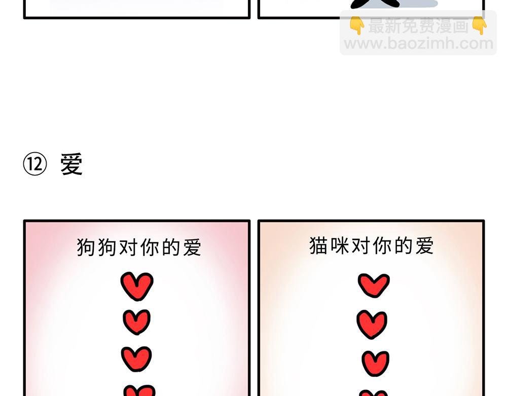 狗狗还是猫咪？选一个吧！