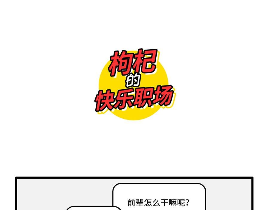 追星是种什么感觉？