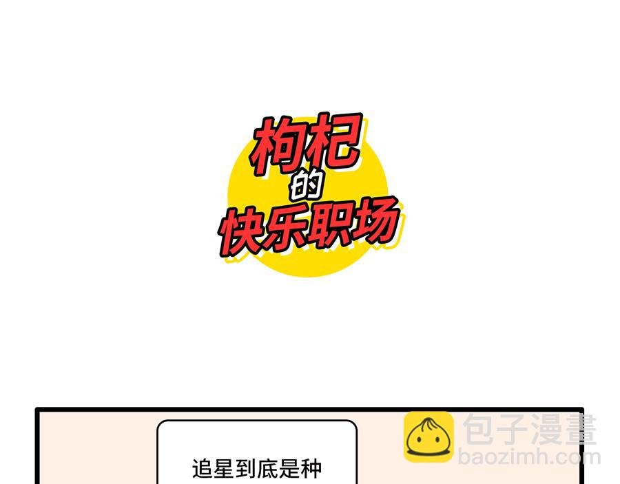 追星是种什么感觉？