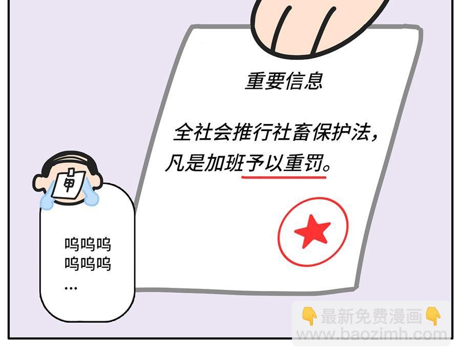 乙方的梦
