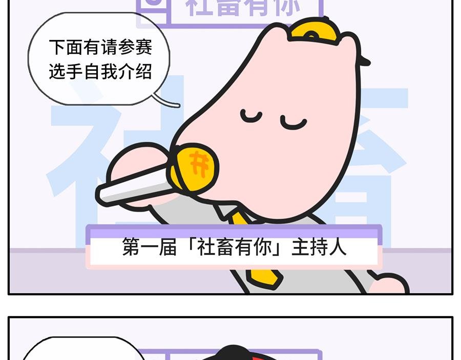 当我失眠的时候，没有一条淡黄色