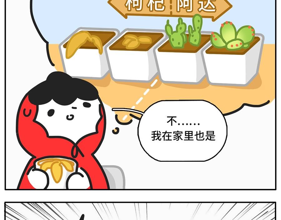 当植物杀手遇到中央空调
