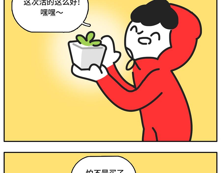当植物杀手遇到中央空调