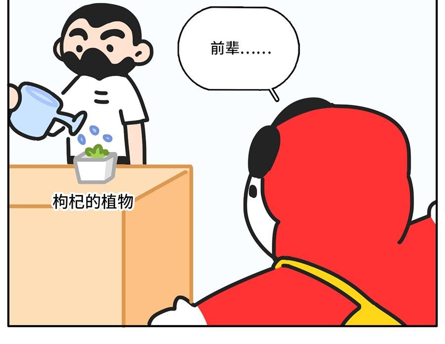 当植物杀手遇到中央空调