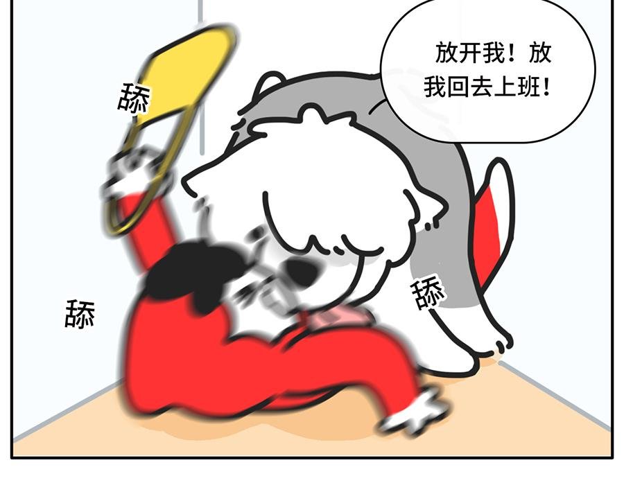 我和boss鲜为人知的那些事