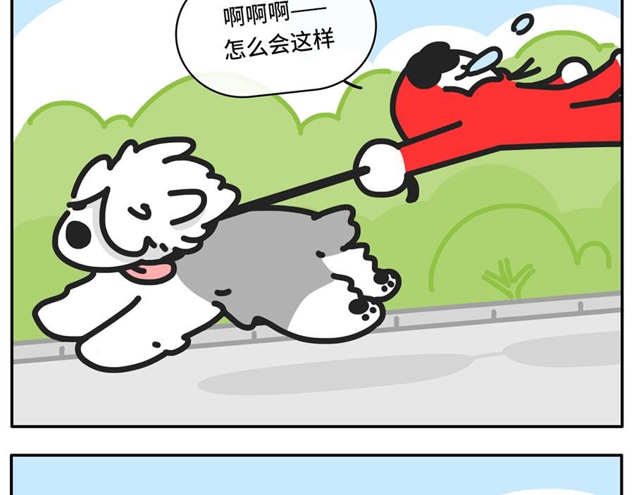 我和boss鲜为人知的那些事