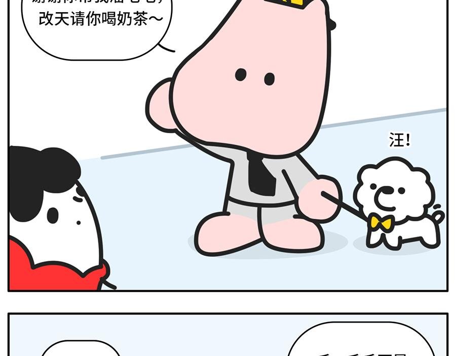 我和boss鲜为人知的那些事