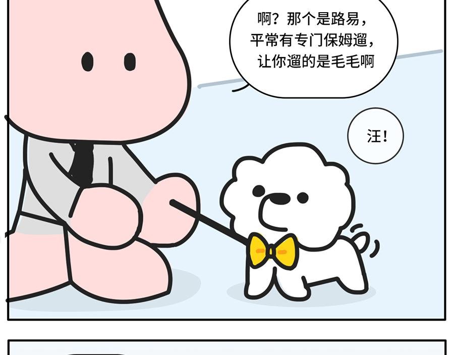 我和boss鲜为人知的那些事