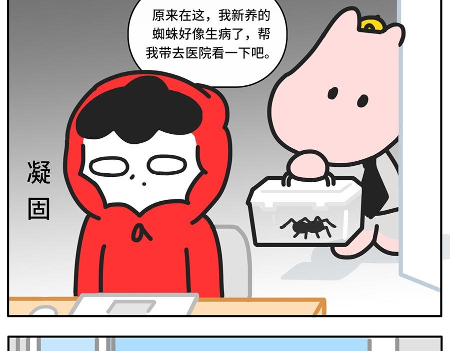 我和boss鲜为人知的那些事
