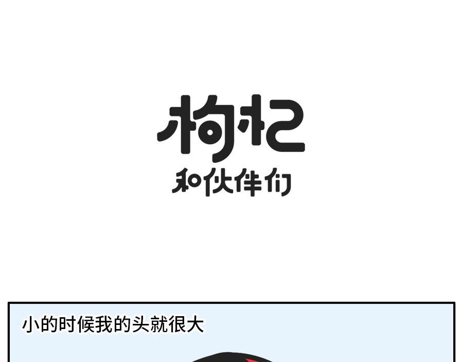 枸杞穿红帽衫的秘密