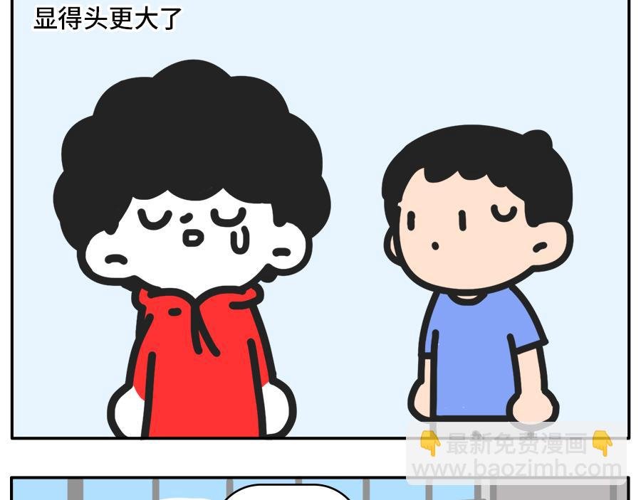 枸杞穿红帽衫的秘密