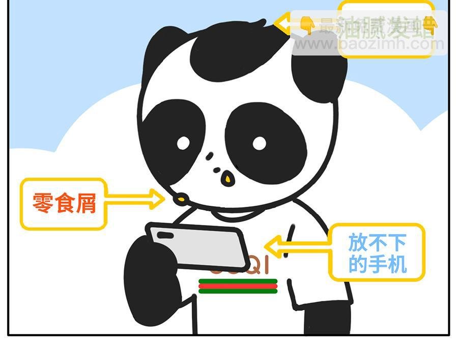当你的室友是一只现代熊猫