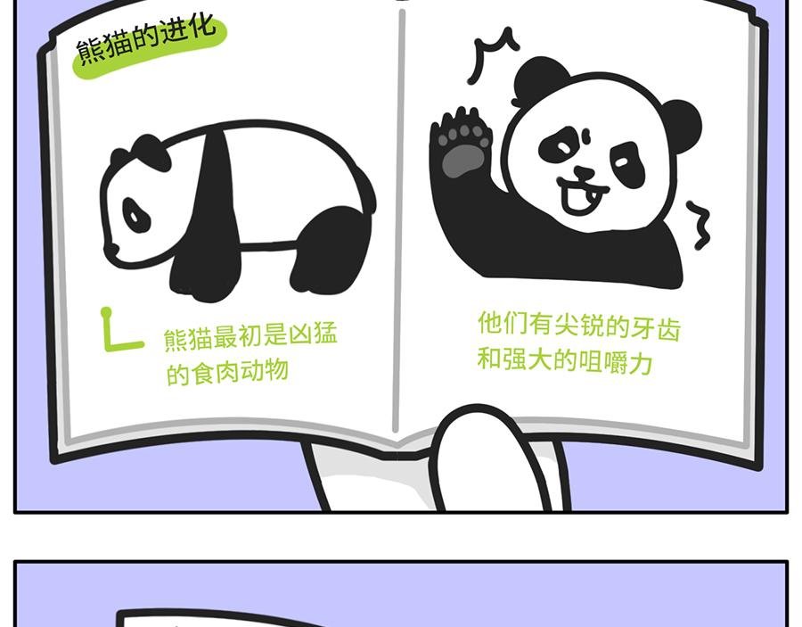 当你的室友是一只现代熊猫