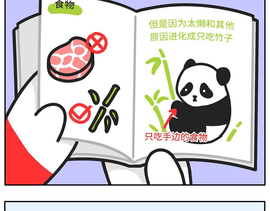 当你的室友是一只现代熊猫
