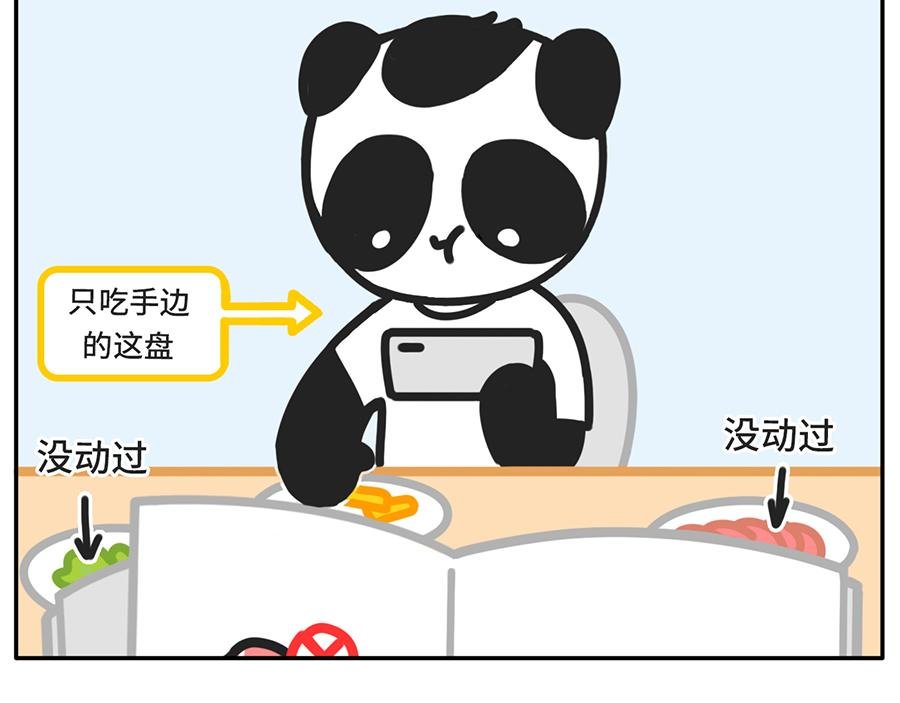 当你的室友是一只现代熊猫