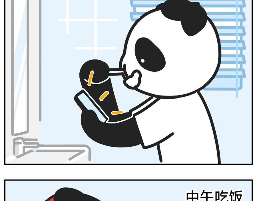 当你的室友是一只现代熊猫