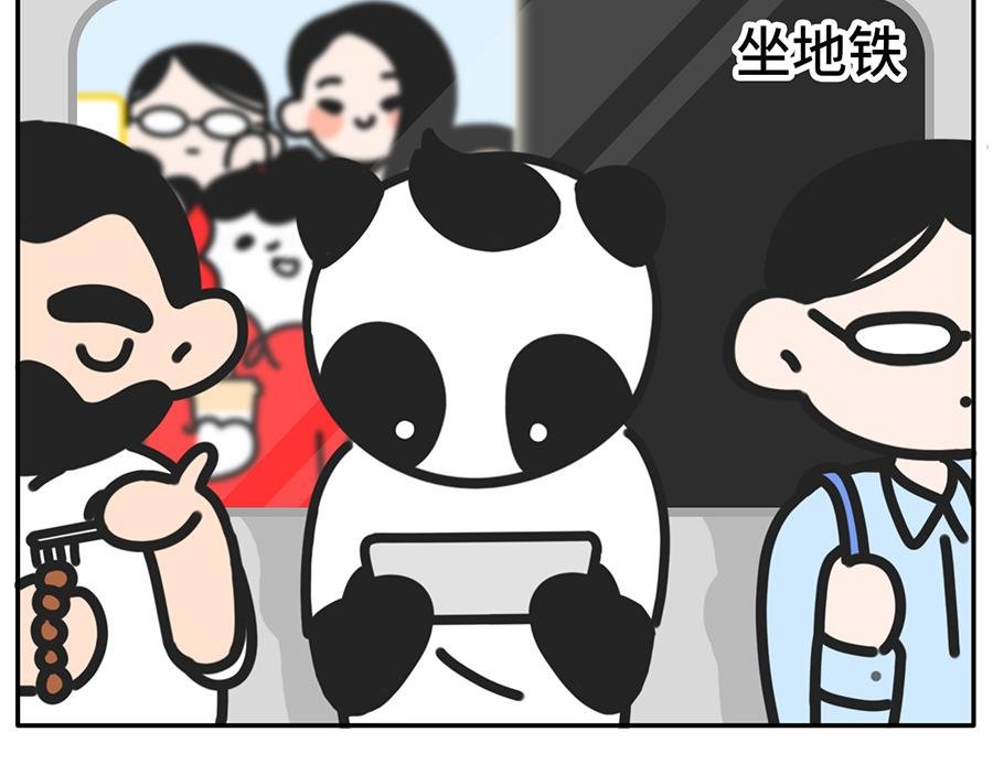 当你的室友是一只现代熊猫