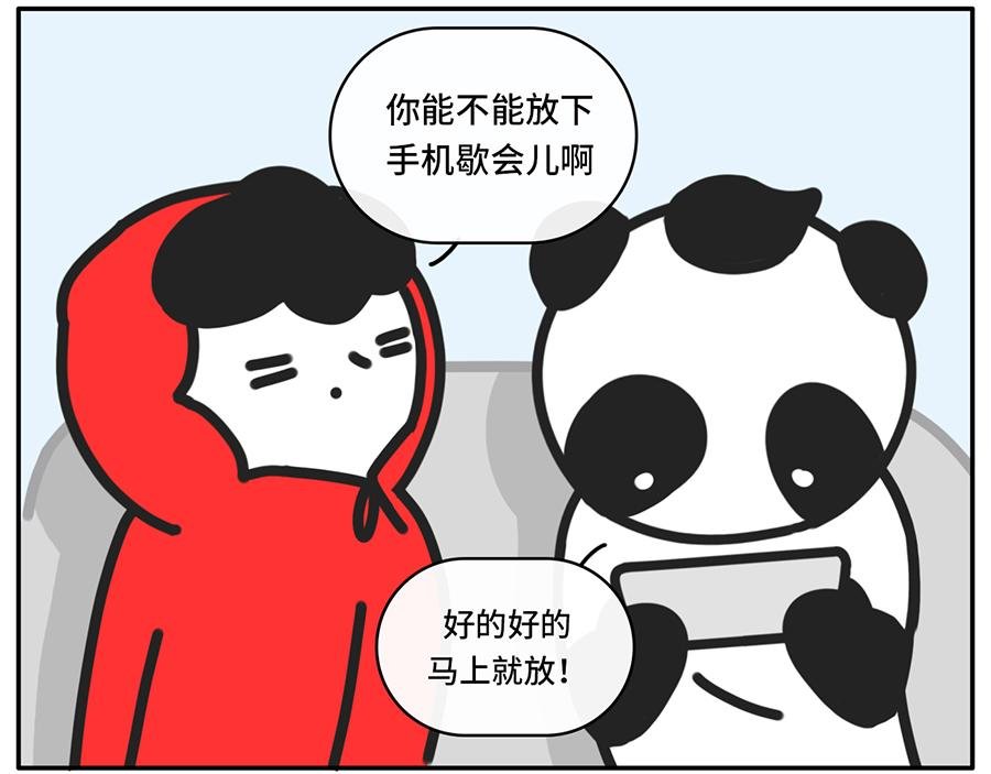 当你的室友是一只现代熊猫