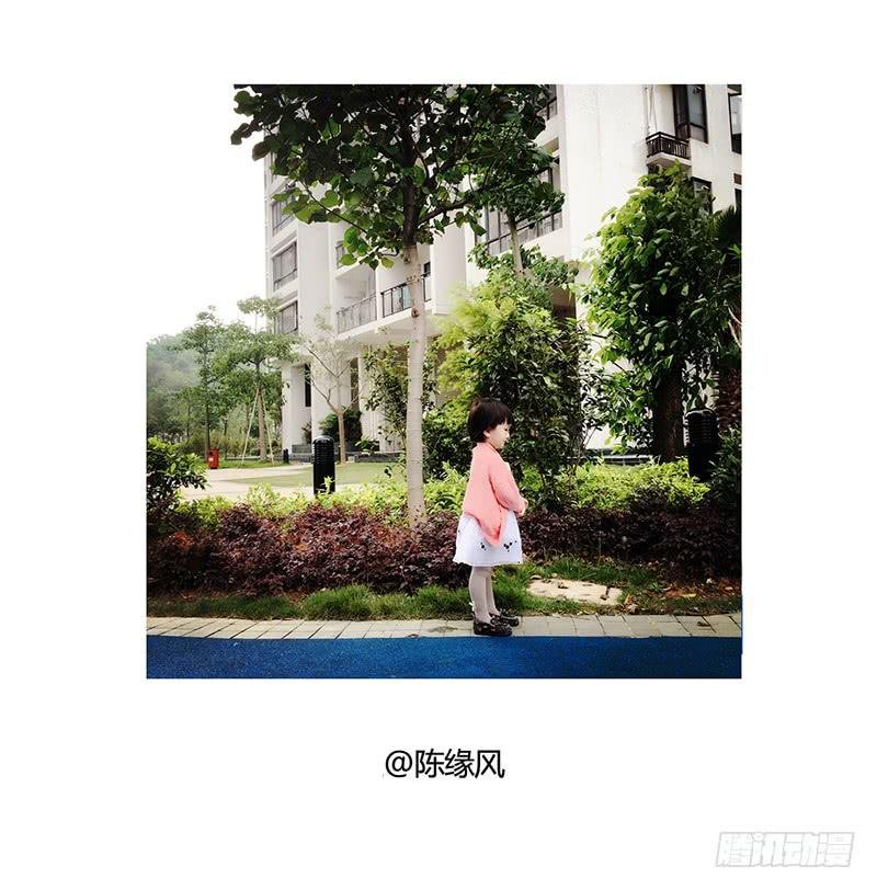 小树跳舞