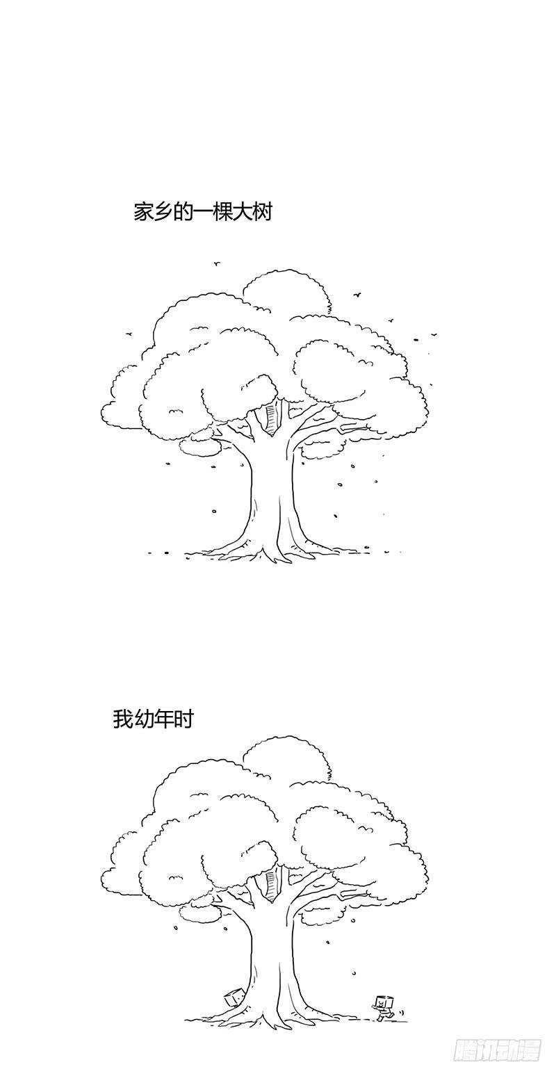 家乡的大树