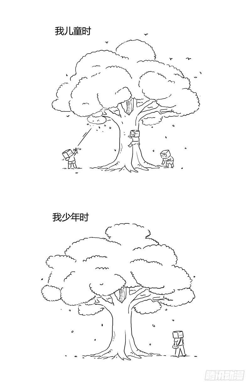 家乡的大树