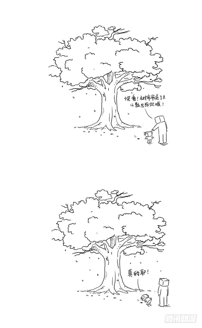 家乡的大树