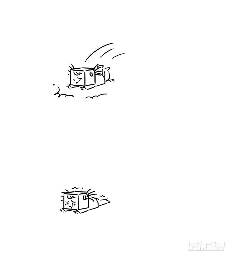 翅膀