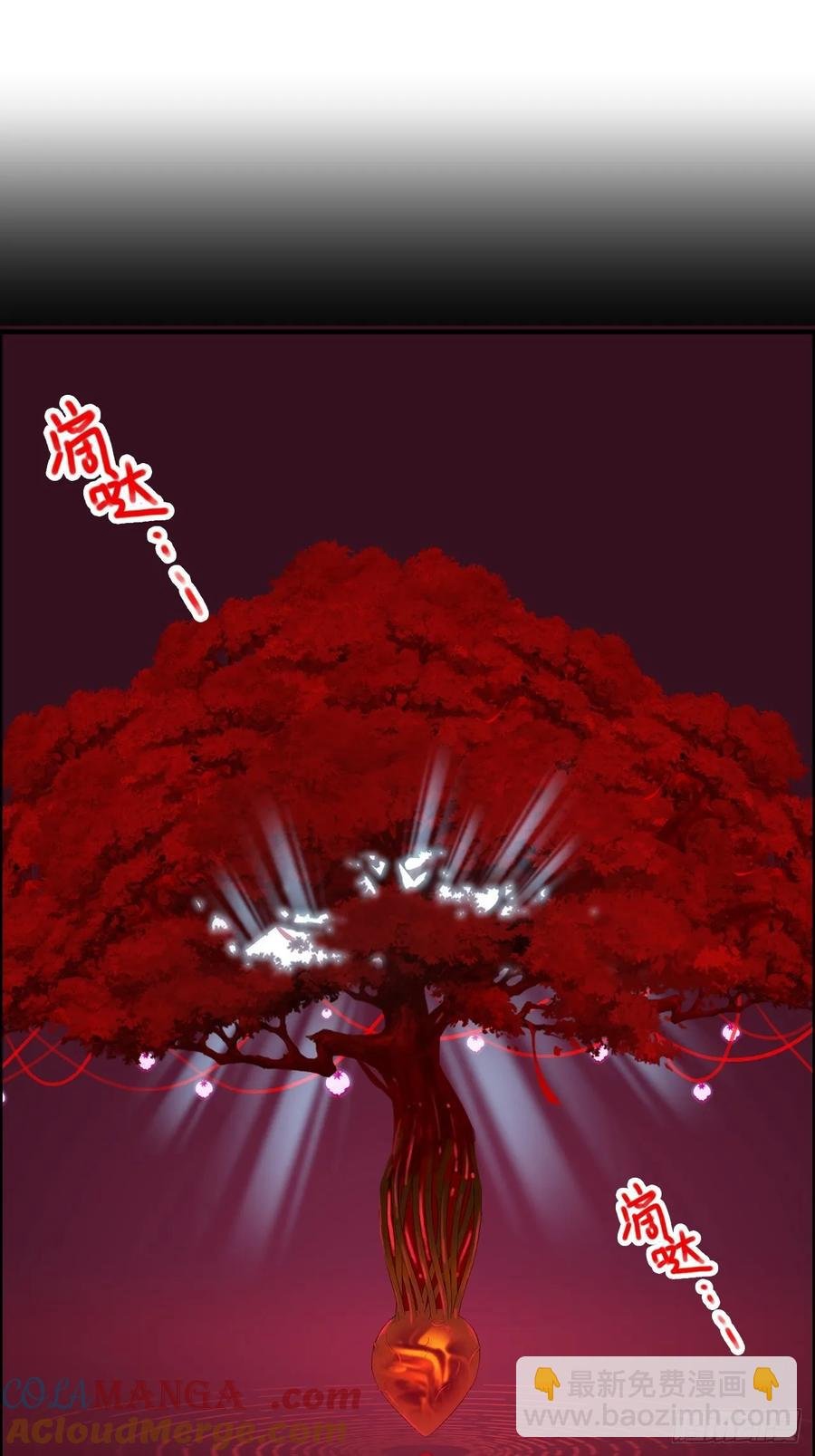116话 神魂双修，白锦的记忆