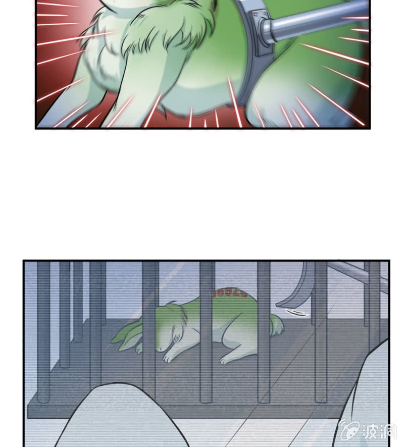 第33话 妖兽后卿