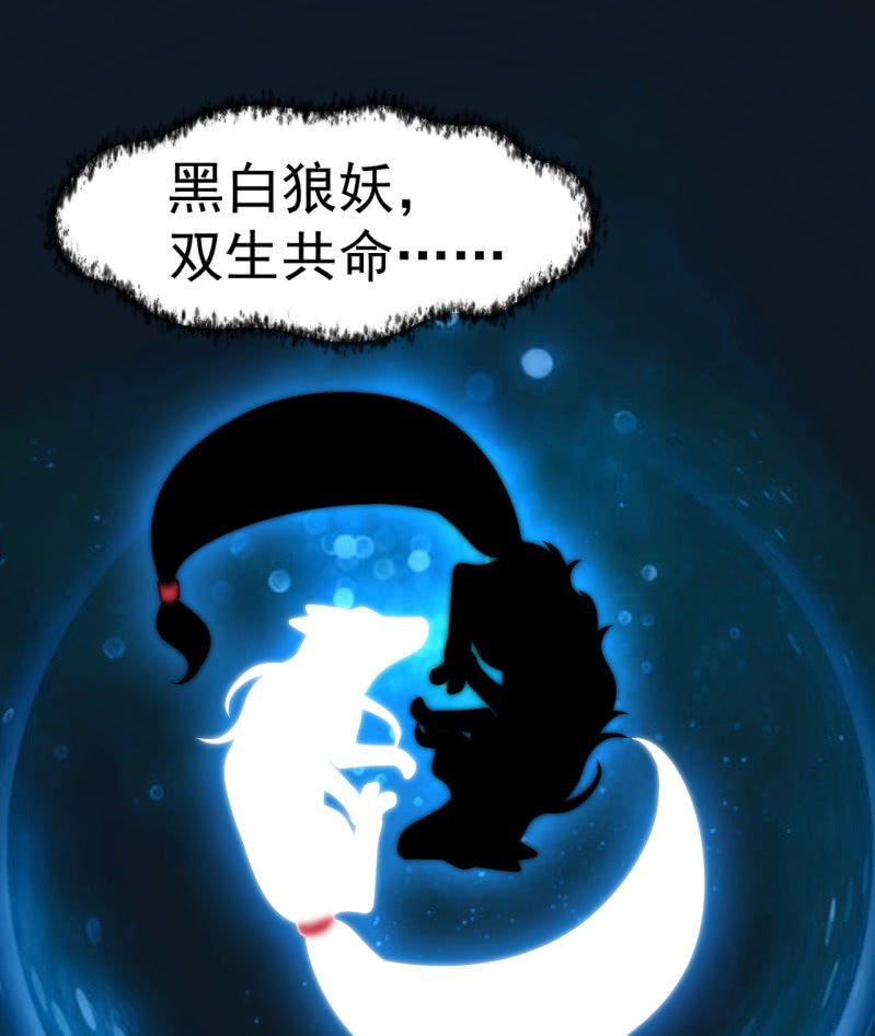 第36话 双生共命