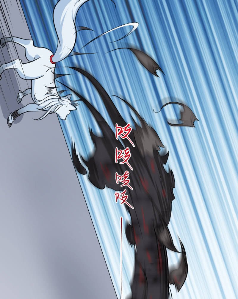 第38话 蝠群