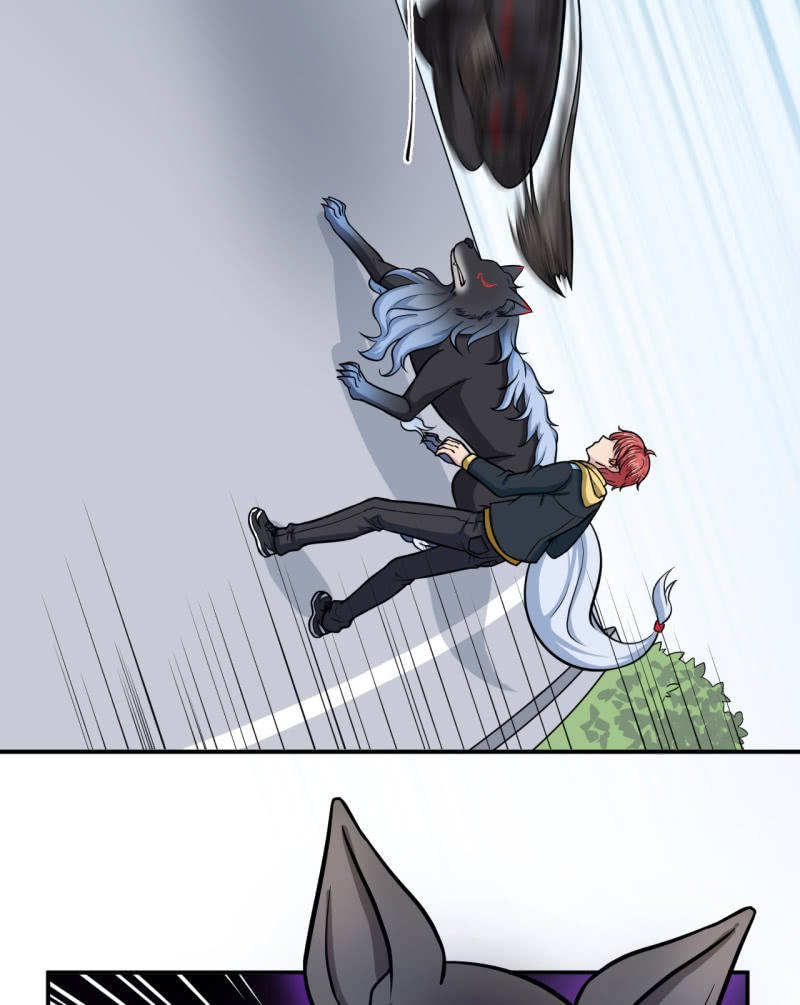 第38话 蝠群