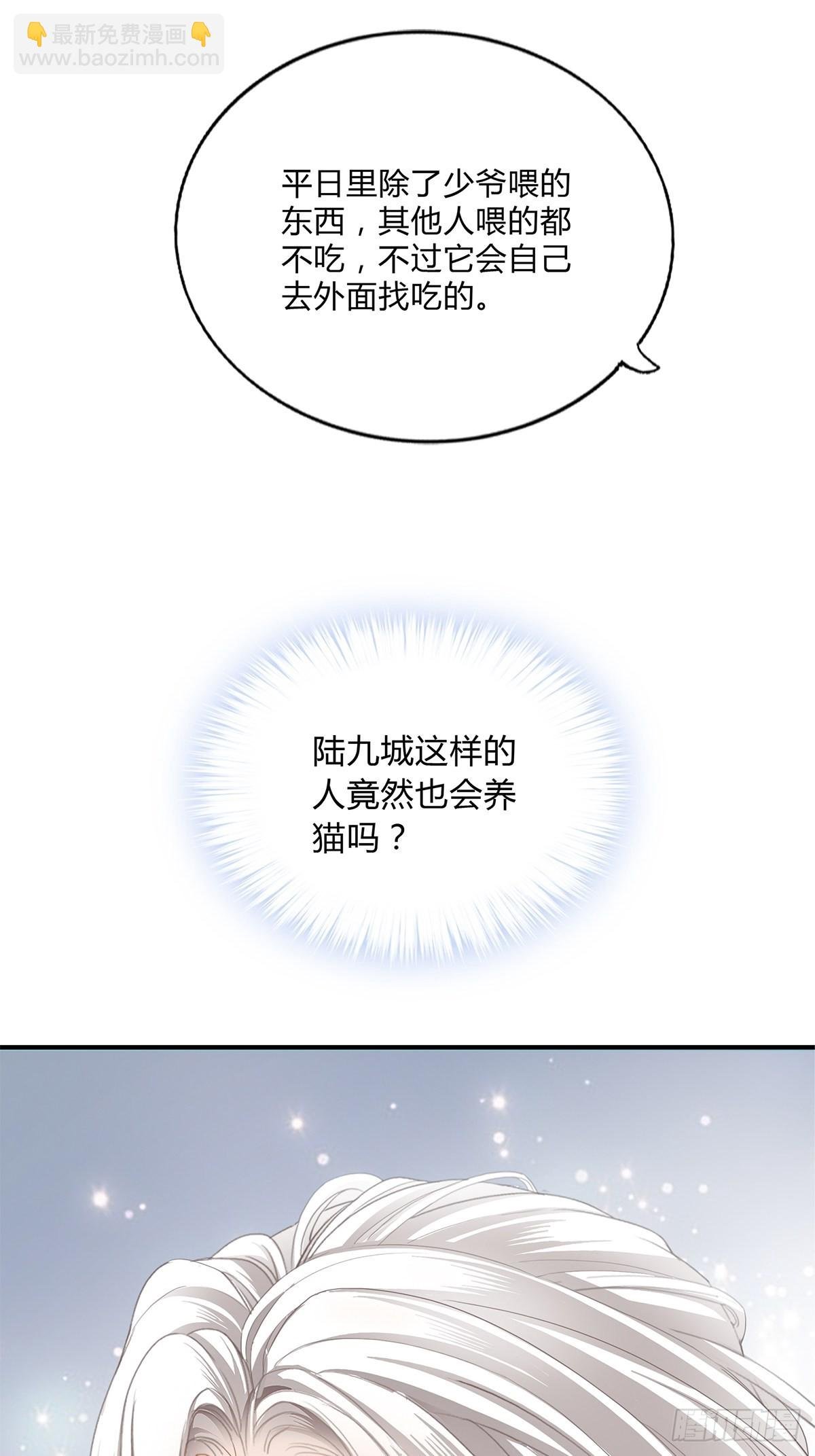 投喂失败
