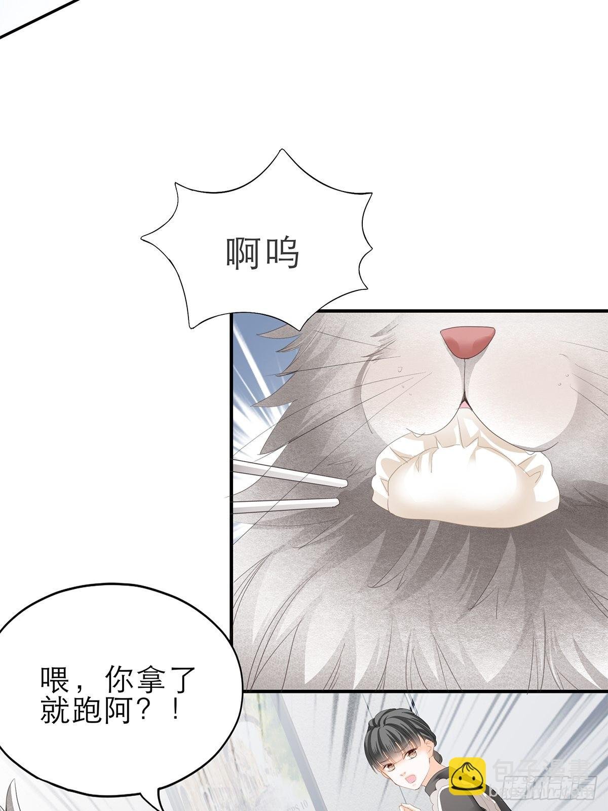吃猫咪的醋