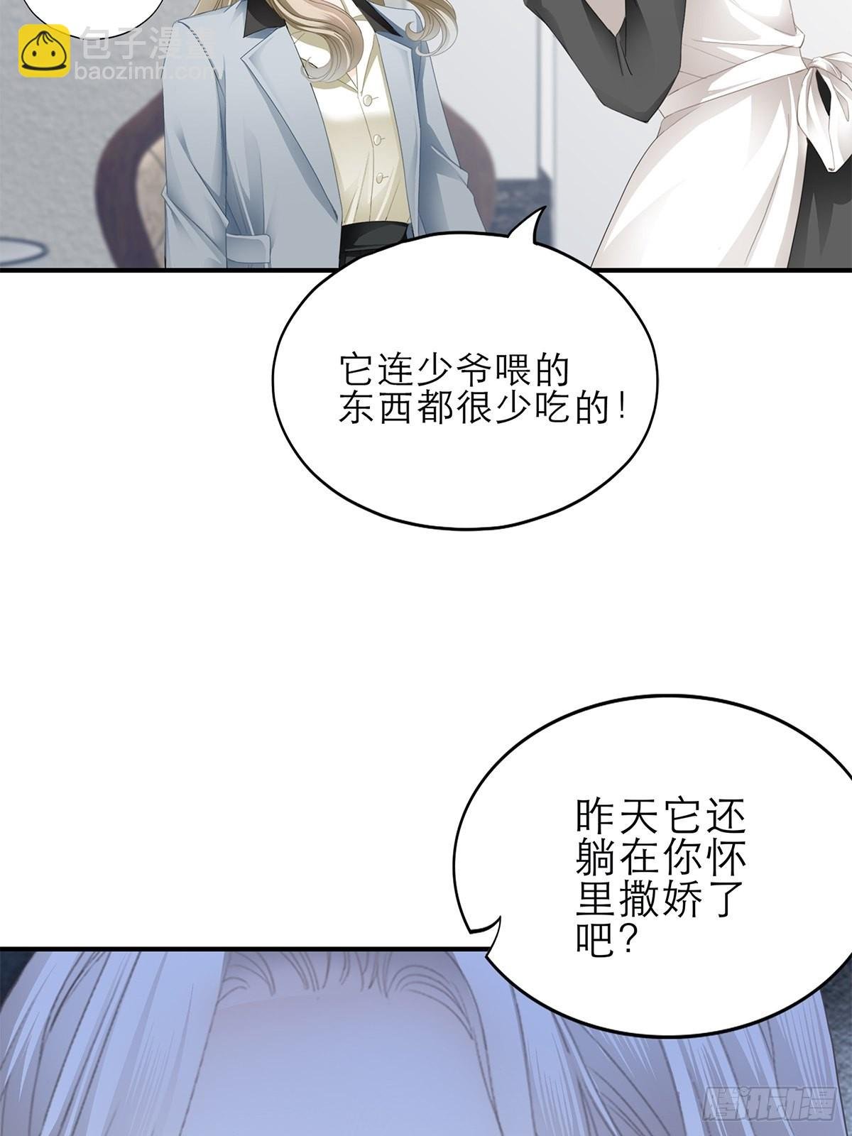吃猫咪的醋