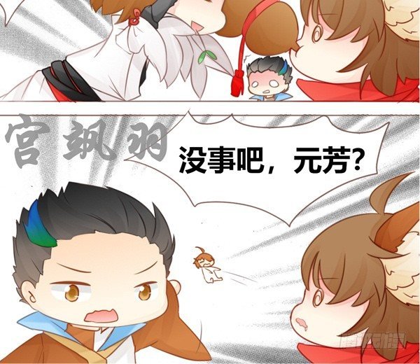 醉猫
