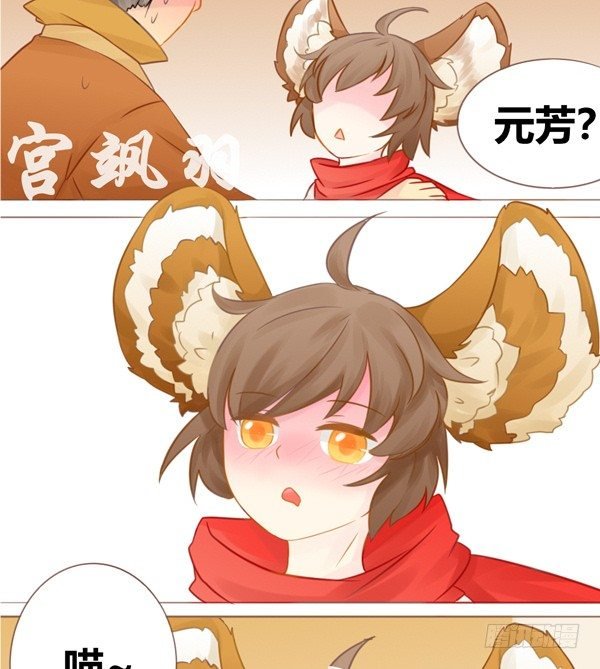 醉猫