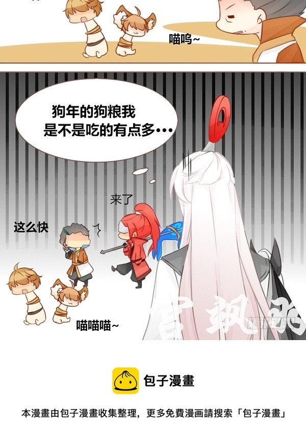 醉猫