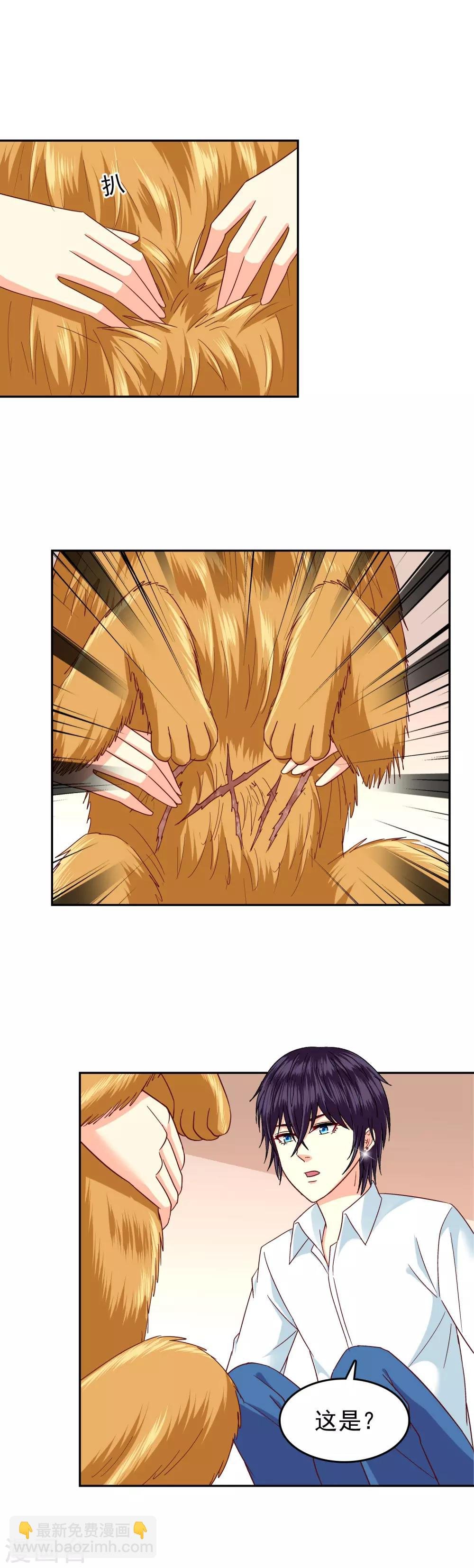 第117话