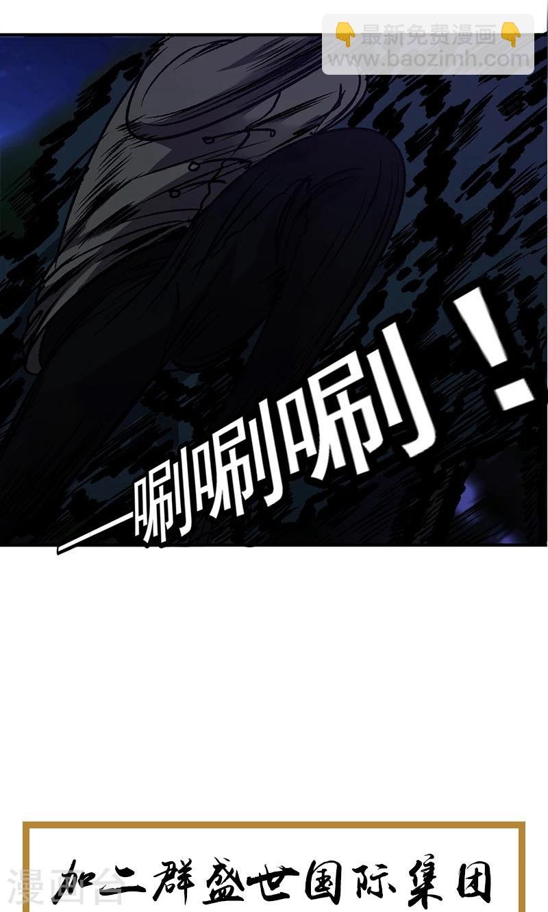 第110话 神秘黑影
